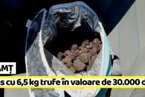 Neamţ: Prins cu 6,5 kg trufe în valoare de aproximativ 30.000 de lei