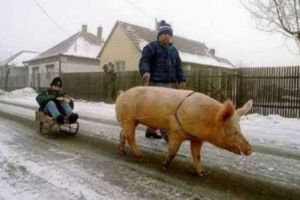 Dacă în ultimii ani românii nu au avut parte de un Crăciun cu zăpadă, anul acesta iarna nu ne mai menajează. Ninsorile încep curând, avertisment de la meteorologi