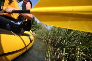 Plimbări gratuite cu canoea pe Timiş şi catamaranul cu motor electric la Surduc