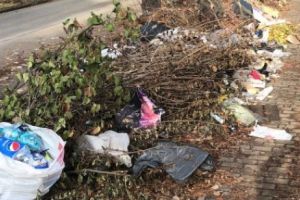 Timişoara sub gunoaie. Asistaţii sociali au fost trimişi la măturat, în centru