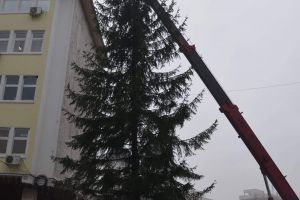 FOTO: Un nou brad în centrul Târgu-Jiului