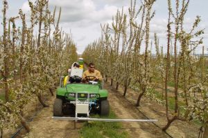 AFIR a publicat Ghidul solicitantului pentru înfiinţarea şi funcţionarea grupurilor operaţionale şi pentru dezvoltarea proiectelor pilot, etapa II