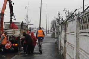 Ultimele zile de toamna vin cu noi plantari de copaci in Constanta