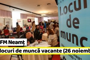 AJOFM Neamţ: 513 locuri de muncă vacante la data de 26 noiembrie 2018