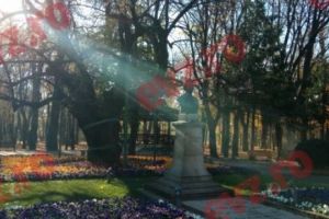 Teiul lui Eminescu nu vrea să moară. Povestea NEȘTIUTĂ a unui SIMBOL românesc