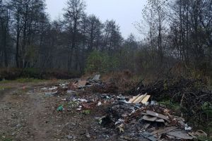 Morman de gunoaie în satul Stroieşti, în albia Sohodolului!