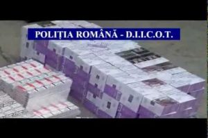 Cum şi-a recuperat o judecătoare 20.000 de euro după ce numele ei a fost prins într-un scandal de evaziune, alături de romi, afacerişti şi fratele lui Moroşanu