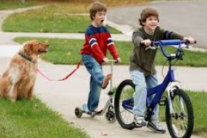 Misterele creierului: De ce nu uităm niciodată mersul pe bicicletă?