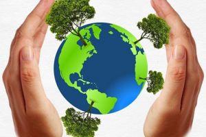 Noutati legislative pentru toti titularii de autorizatii de medu