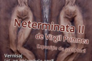 Sculpturi în lemn şi piatră ocupă joi foaierul Teatrului Colibri