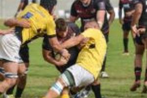 Timişoara Saracens, montată la maximum înainte de finala Cupei României