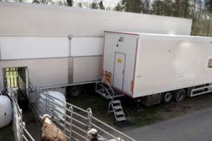 Crescătorii de animale pot obţine fonduri europene nerambursabile pentru abatoare mobile