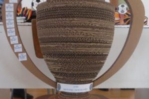  Activităţi desfăşurate de poliţiştii de la prevenire