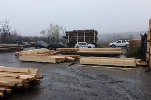 Zeci de metri cubi de lemn, confiscaţi în urma unui control