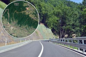 Uniţi în cuget şi-n hoţii: BIHOREANUL vă arată cum 4.600 hectare de pădure sunt vânate de urmaşii unui avocat profitor de pe urma Marii Uniri