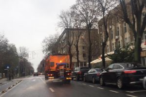 Sararitele actioneaza in oras. Sfaturi pentru constanteni (galerie foto)