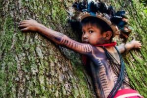 Defrişările ilegale au atins proporţii epice în Brazilia. Un exemplu: o suprafaţă echivalentă cu un milion de terenuri de fotbal...