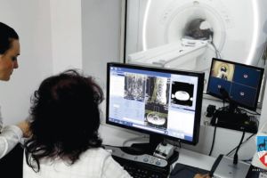 Doua linii de garda suplimentare, la Spitalul Judetean, pe sectiile Chirurgie si Imagistica