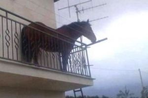 Ce mai păstrează românii în balcoane? FOTO ÎN ARTICOL. Va fi viralul anului 2018?