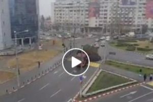 Aşa a fost transportat bradul la Ploieşti. Oraşul a fost măturat cu el
