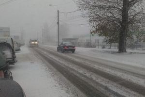 Primaria Constanta: Sararite si utilaje dotate cu lama intervin in muncipiul Constanta