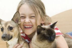 Top 5 soluţii de a îmbunatăţi viaţa animalului de companie