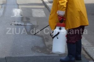 Primaria Constanta, obligata de CNSC sa reevalueze ofertele in cadrul procedurii de atribuire a contractului de dezinsectie si deratizare 