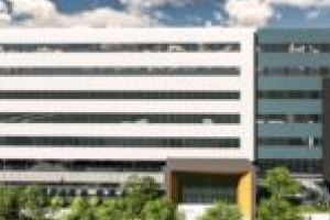 Plouă cu maternităţi în Timişoara! „Stimaţi tineri, contribuiţi la creşterea natalităţii! Noi vă asigurăm condiţii!“