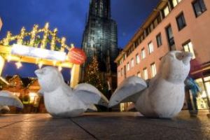 Germania: Piata de Craciun din Ulm, pazita de vrabii uriase antiteroriste