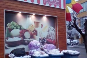 GHIVECIUL din Piteşti: mâncare şi GUNOAIE SUB… DRAPEL!