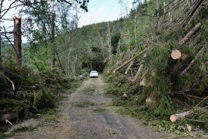 La peste un an de la mezo-ciclonul care a 