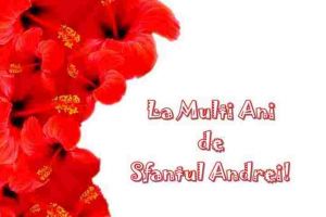 MESAJE HAIOASE de SFANTUL ANDREI: SMS-uri, felicitari şi urări amuzante de Sfantul Andrei