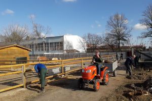 În primăvara şi toamna acestui an, ADP Oradea a plantat peste 2.000 de puieţi (FOTO)