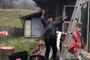 DÂMBOVIȚA: Un primar a tăiat o vacă în curtea instituţiei pentru a împărţi carnea de Centenar