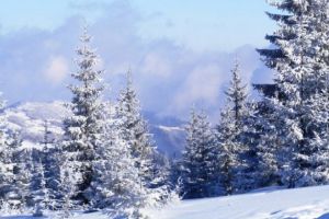 Tradiţii şi superstiţii de Sf. Andrei