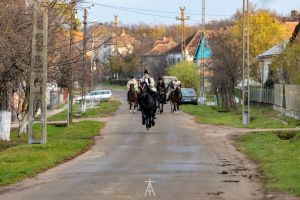 VIDEO. Sătmărenii continuă drumul spre Alba Iulia, la -10 grade Celsius