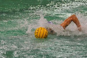 CSM Digi susţine, vineri seară şi sâmbătă, la Bucureşti, derby-ul Superligii Naţionale de polo, cu Steaua