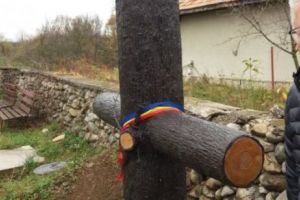 Sabin Cornoiu. Salvamontistul care a eliberat 792 de suflete