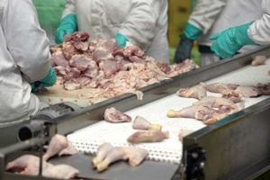 Inspectorii sanitari din Timiş – controale în magazine şi abatoare pentru a preveni neregulile