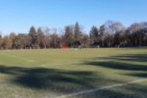 Timişoara Saracens nu a putut juca finala Cupei României!