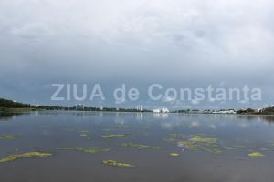 PUZ-ul lacului Tabacarie starneste patimi: Decebal Fagadau - Pana nu voi cere parerea specialistilor, eu nu-l voi supune aprobarii Consiliului Local!“