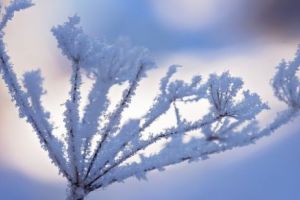 Avertizarea ANM. VREMEA de CENTENAR, cu MINIME sub normalul acestei perioade