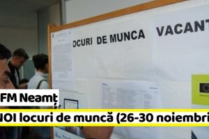 AJOFM Neamţ: 56 NOI locuri de muncă, comunicate în săptămâna 26-30 noiembrie