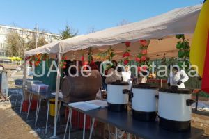 Pregatirile sunt in toi la Constanta: Gratarele sunt incinse la Clubul de vara al pensionarilor din Parcul de la Gara (galerie foto)