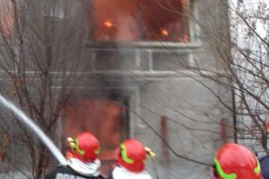 VIDEO EMOȚIONANT! O căţeluşă a vrut să sară în foc să îşi salveze cei şapte pui