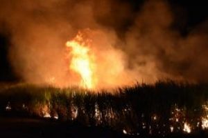 Incendiile fac ravagii in nordul Australiei. Un barbat si-a pierdut viata