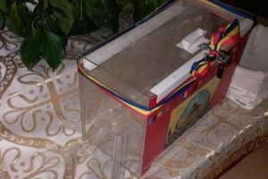 Imaginile jafului din biserica din Aradul Nou. Credincioşii se roagă pentru hoţi I FOTO