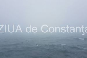 Pasare de Foc este iubirea...  - Irina Lucia MIHALCA