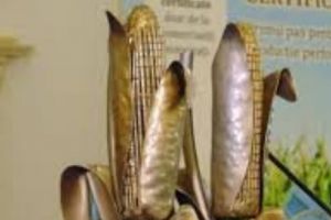 Cine va câştiga PORUMBUL de AUR 2018?