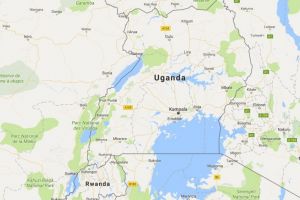 O romanca a cucerit varful Margherita din Uganda chiar de Ziua Nationala